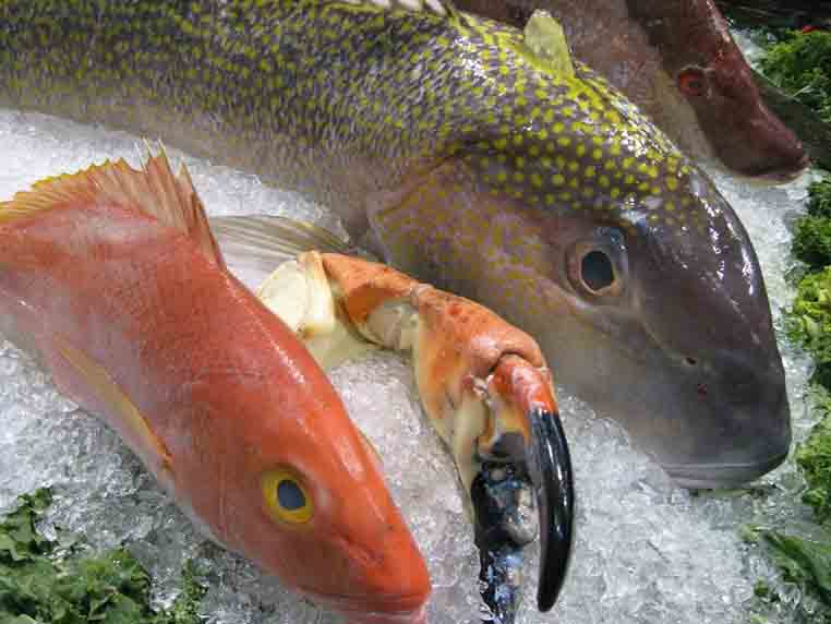 Control of Enzyme Activity in Seafoods
